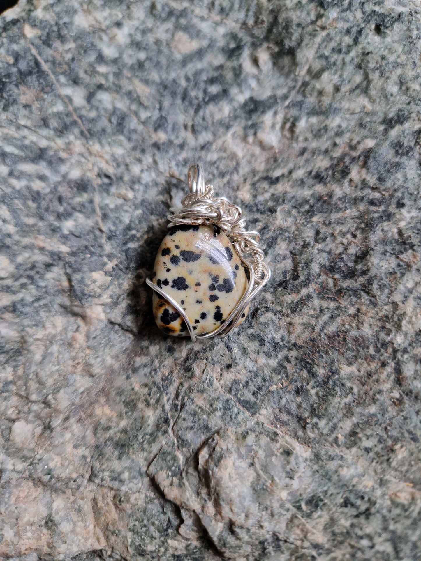 Wire Wrapped Dalmation Jasper Pendant